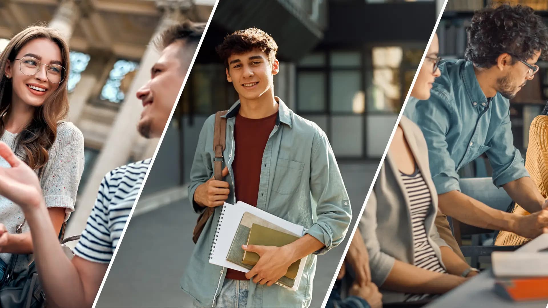 Katalog studiów